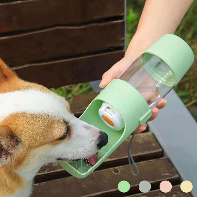 PawGo WalkKit™